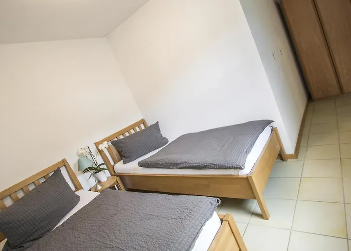 Haus Ambros בטינגן